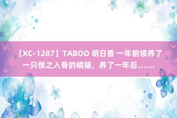 【XC-1287】TABOO 明日香 一年前领养了一只恨之入骨的橘猫，养了一年后……