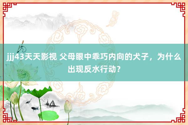 jjj43天天影视 父母眼中乖巧内向的犬子，为什么出现反水行动？