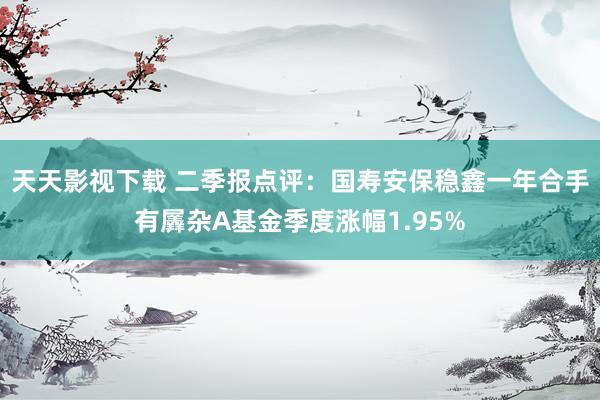 天天影视下载 二季报点评：国寿安保稳鑫一年合手有羼杂A基金季度涨幅1.95%