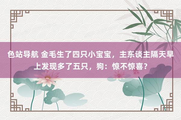 色站导航 金毛生了四只小宝宝，主东谈主隔天早上发现多了五只，狗：惊不惊喜？