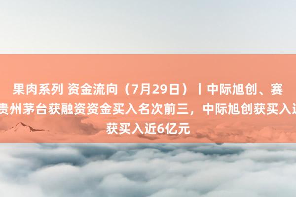 果肉系列 资金流向（7月29日）丨中际旭创、赛力斯、贵州茅台获融资资金买入名次前三，中际旭创获买入近6亿元