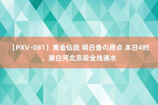 【PXV-081】黄金伝説 明日香の原点 本日4时，潮白河北京段全线通水