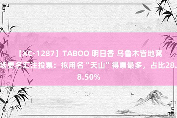 【XC-1287】TABOO 明日香 乌鲁木皆地窝堡机场更名汇注投票：拟用名“天山”得票最多，占比28.50%