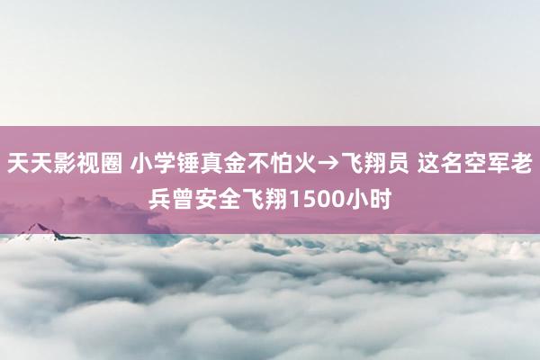 天天影视圈 小学锤真金不怕火→飞翔员 这名空军老兵曾安全飞翔1500小时