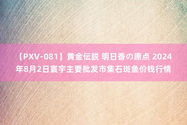 【PXV-081】黄金伝説 明日香の原点 2024年8月2日寰宇主要批发市集石斑鱼价钱行情