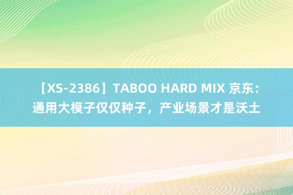 【XS-2386】TABOO HARD MIX 京东：通用大模子仅仅种子，产业场景才是沃土