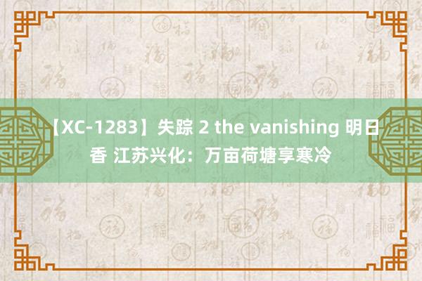 【XC-1283】失踪 2 the vanishing 明日香 江苏兴化：万亩荷塘享寒冷