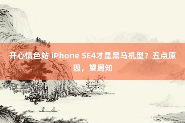 开心情色站 iPhone SE4才是黑马机型？五点原因，望周知