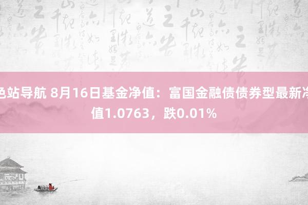 色站导航 8月16日基金净值：富国金融债债券型最新净值1.0763，跌0.01%