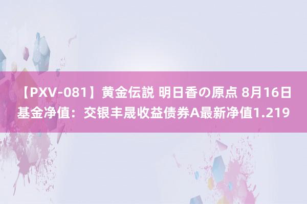 【PXV-081】黄金伝説 明日香の原点 8月16日基金净值：交银丰晟收益债券A最新净值1.219