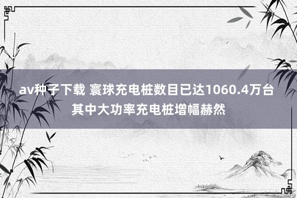 av种子下载 寰球充电桩数目已达1060.4万台 其中大功率充电桩增幅赫然