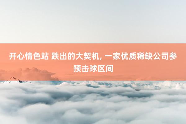 开心情色站 跌出的大契机, 一家优质稀缺公司参预击球区间