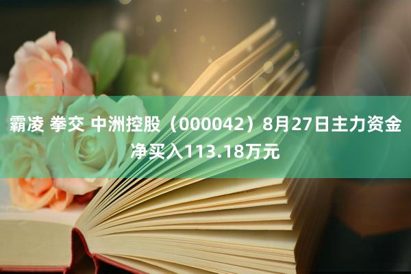 霸凌 拳交 中洲控股（000042）8月27日主力资金净买入113.18万元