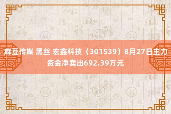 麻豆传媒 黑丝 宏鑫科技（301539）8月27日主力资金净卖出692.39万元