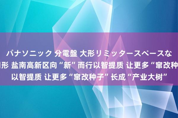 パナソニック 分電盤 大形リミッタースペースなし 露出・半埋込両用形 盐南高新区向“新”而行以智提质 让更多“窜改种子”长成“产业大树”