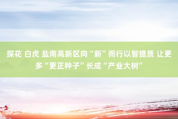 探花 白虎 盐南高新区向“新”而行以智提质 让更多“更正种子”长成“产业大树”