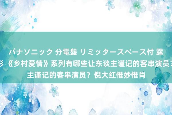 パナソニック 分電盤 リミッタースペース付 露出・半埋込両用形 《乡村爱情》系列有哪些让东谈主谨记的客串演员？倪大红惟妙惟肖