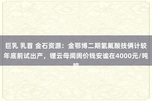 巨乳 乳首 金石资源：金鄂博二期氢氟酸技俩计较年底前试出产，锂云母阛阓价钱安谧在4000元/吨