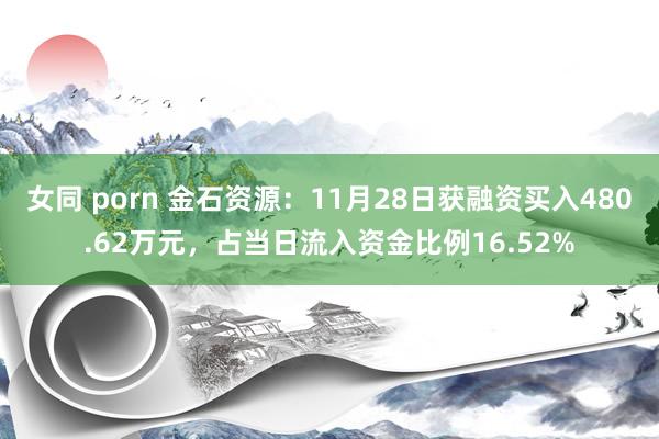 女同 porn 金石资源：11月28日获融资买入480.62万元，占当日流入资金比例16.52%