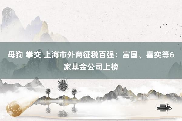 母狗 拳交 上海市外商征税百强：富国、嘉实等6家基金公司上榜