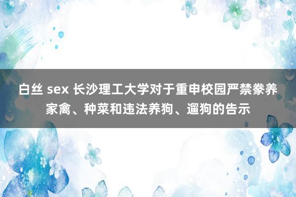 白丝 sex 长沙理工大学对于重申校园严禁豢养家禽、种菜和违法养狗、遛狗的告示