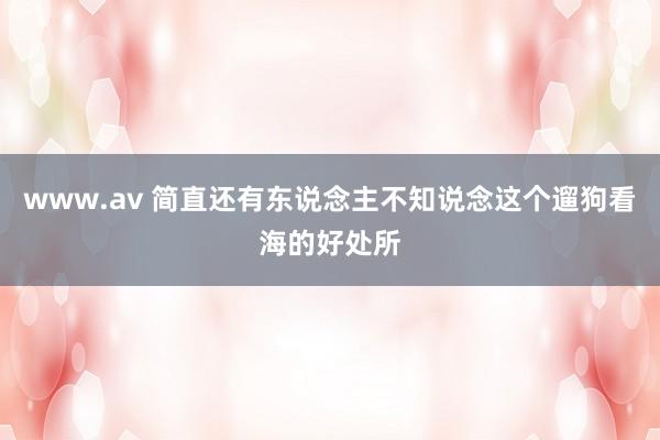 www.av 简直还有东说念主不知说念这个遛狗看海的好处所